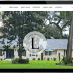 Ocala Realtor Web Design Laura Paynter